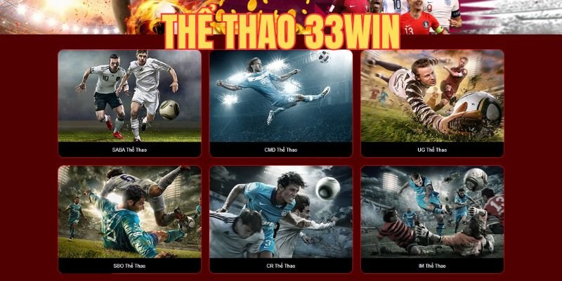 the-thao-33win-tran-cau-din-cao