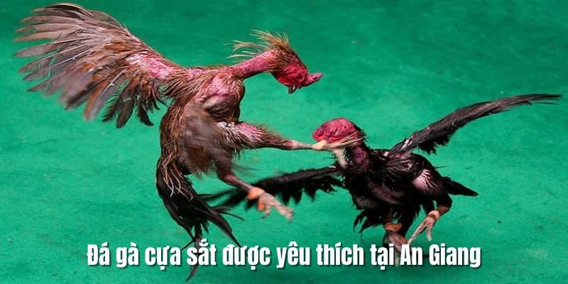 da-ga-cua-sat-an-giang-duoc-yeu-thich-tai-33win