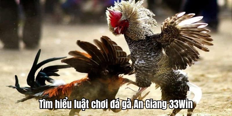 luat-choi-da-ga-an-giang-can-biet