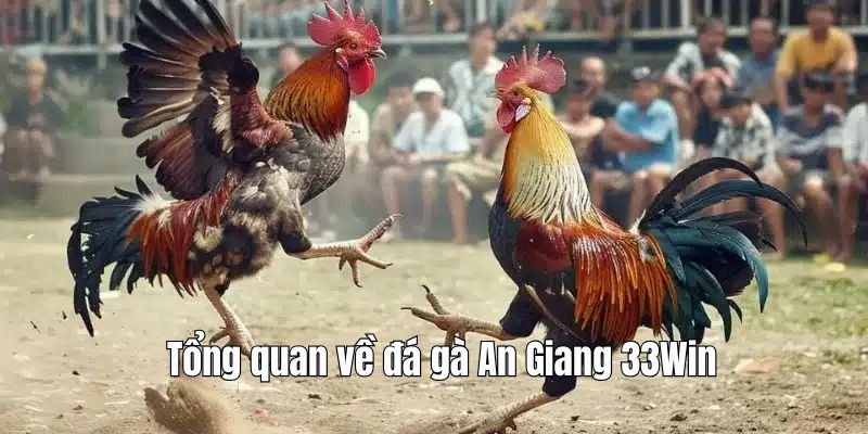tong-quan-ve-da-ga-an-giang-tai-33win