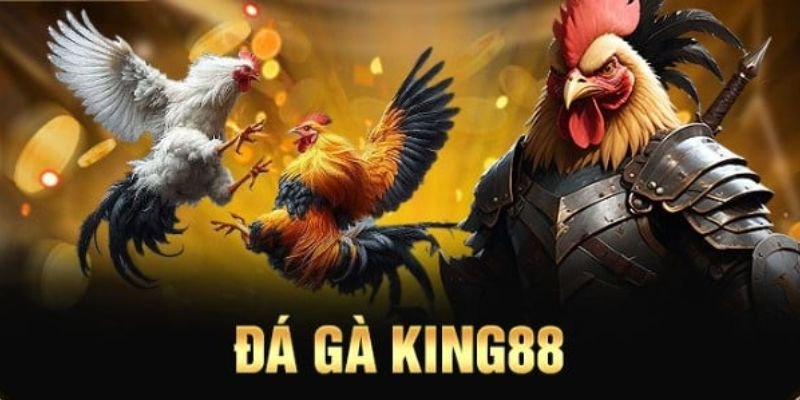 doi-net-gioi-thieu-da-ga-king88