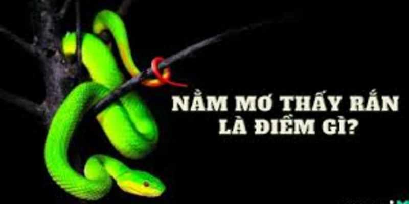 giai-ma-chi-tiet-giac-mo-thay-ran